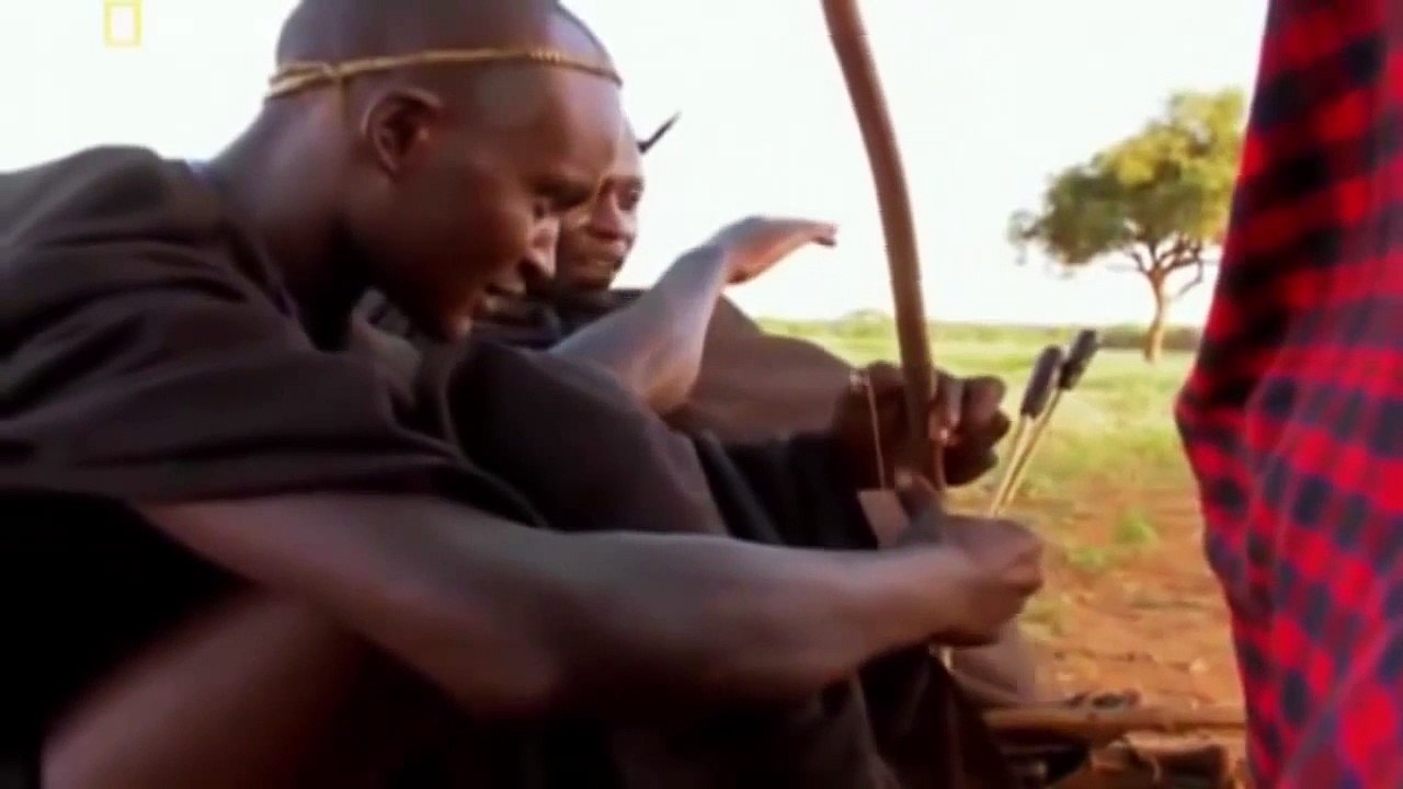 Lions vs Maasai Warriors