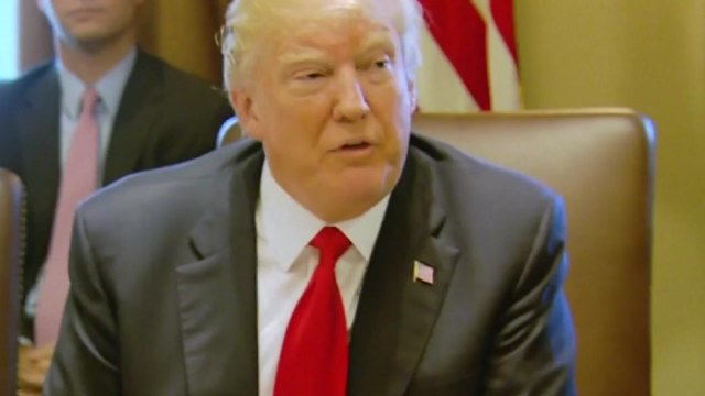 수입 철강 '관세 폭탄'에 미국 내에서도 우려 증폭 / YTN