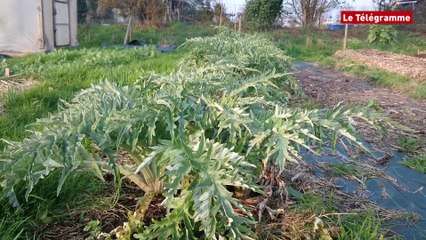 ​Lannion. Le jardin collectif du Roudour revit à l'approche du printemps