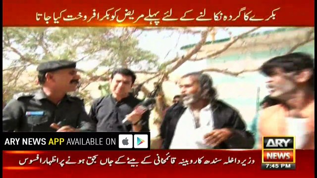 'Spiritual' healer had bizarre custom of hanging goat's skin on trees between mountains