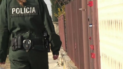 Мафия в Восточной Европе