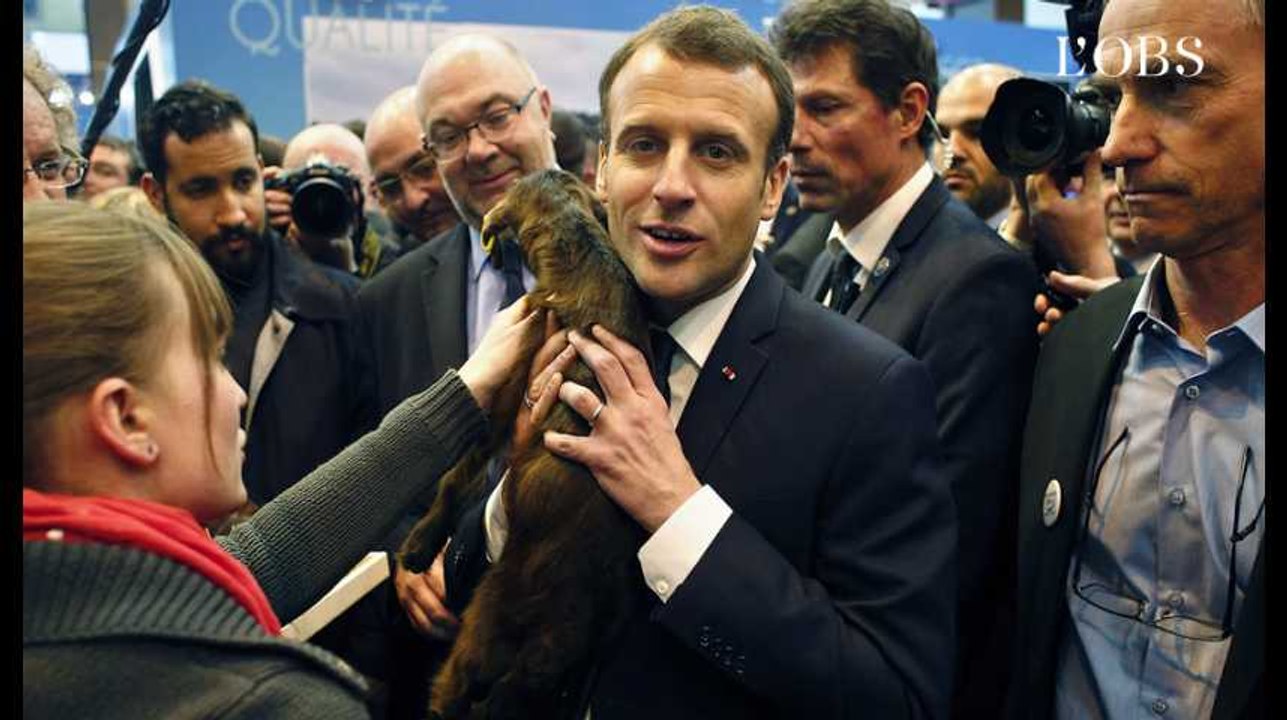 Salon de l'Agriculture : de Macron à Wauquiez, bêtes de politique face aux bêtes de ferme