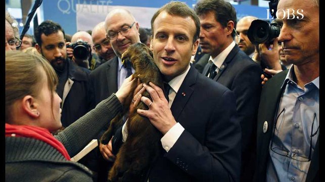 Salon de l'Agriculture : de Macron à Wauquiez, bêtes de politique face aux bêtes de ferme