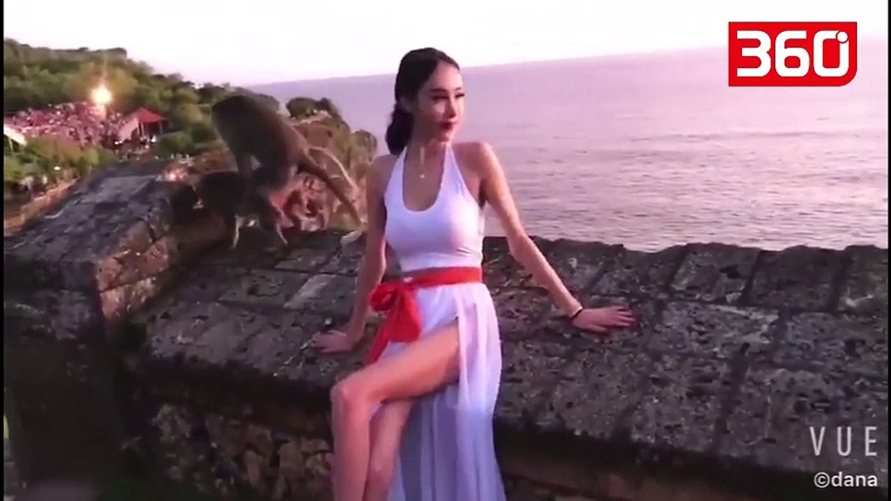 Modelja ishte duke bërë një set fotografik, 2 majmunë pas saj fillojnë të bëjnë... (360video)