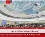 مندوب مصر بالأمم المتحدة: ندين استخدام العنف ضد المدنيين والمؤسسات بسوريا