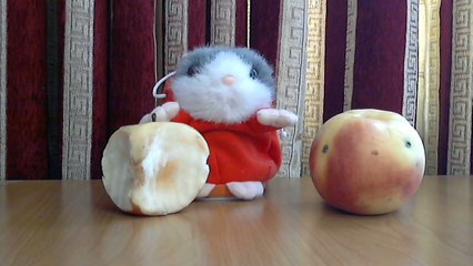 Послание В.Путина Федеральному собранию (частное мнение).