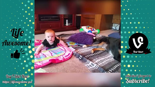 TRY NOT TO LAUGH or GRIN - Funny Kids Fails Compilation 2018 | Funny Animals and Kids Fails Vines