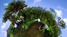 How the Maya are saving their rainforest | Global 3000