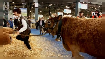 Mercosur : les agriculteurs français inquiets d'un éventuel accord