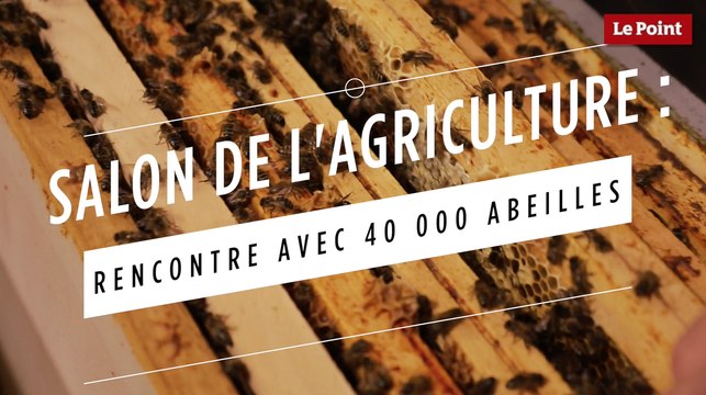 Salon de l'agriculture : rencontre avec 40 000 abeilles