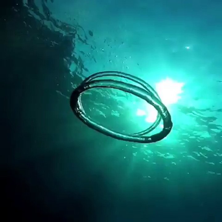 Dos anillos de aire entrando en contacto bajo el mar