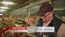 Price of Eggs - How to save male chicks | Made in Germany