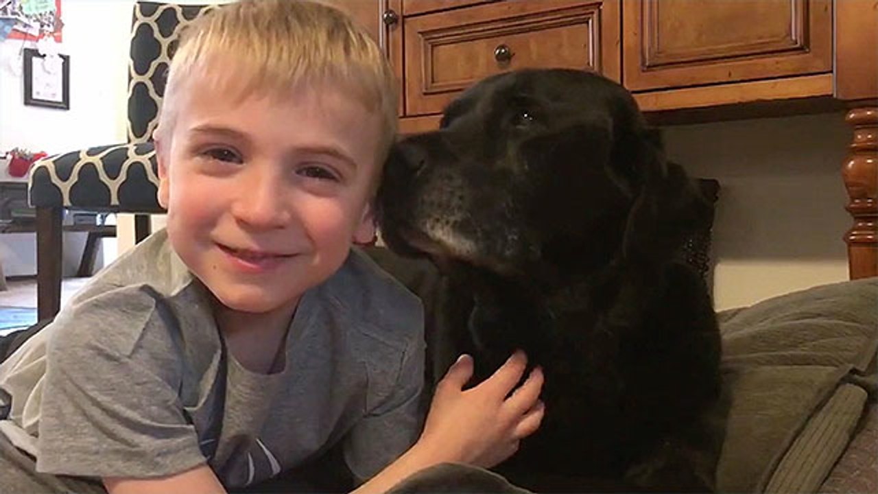 Dog Passes Away Before Flight To Georgia Is Found