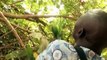 Africa on the Move - Nigeria's modern medicine men | Global 3000