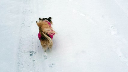 En balade dans la neige