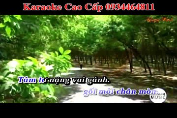 Karaoke 2 loi mong - Tuan Vu