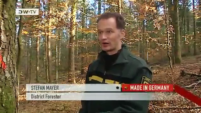 Green Money – Forests as an Investment | Made in Germany