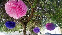 DIY: Bola de Flores   Pompom   Dicas de decoração