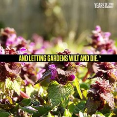 Drought in Cape Town, South Africa