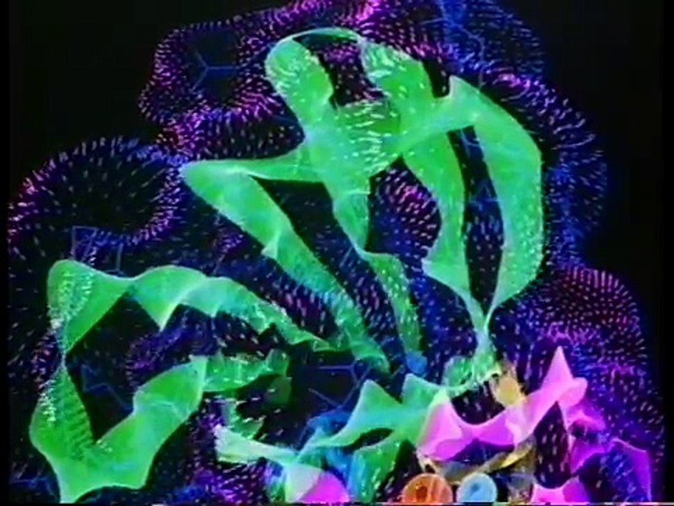 The Magic Egg