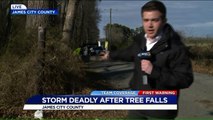 One Killed, Another Trapped After Tree Falls on Truck in Virginia