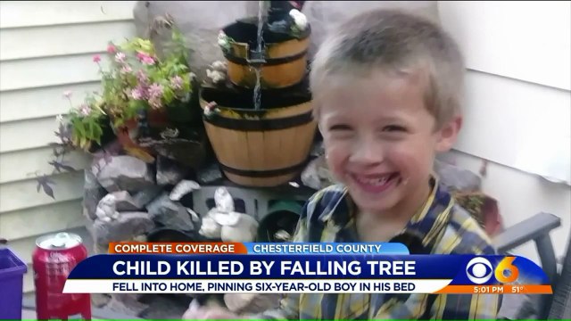 Boy Sleeping on Top Bunk Killed When Tree Falls During Powerful Nor`easter