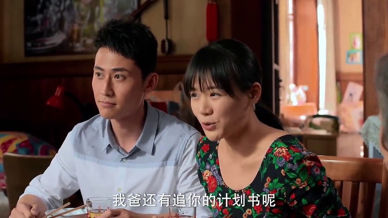 都市剧《爱情最美丽》33主演 张国立 蒋雯丽 马思纯 刘立