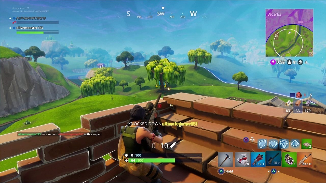 Fortnight montage