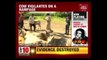 Cow Vigilantes On A Rampage