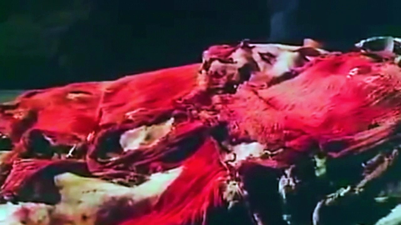 DEVILISH TRIO - HORROR VISUALS