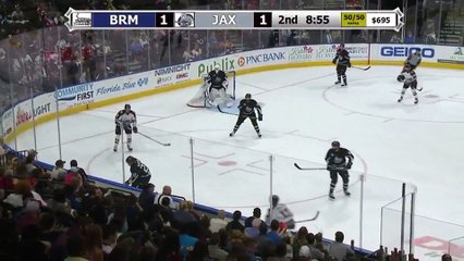 ECHL Brampton Beast 2 at Jacksonville Icemen 2