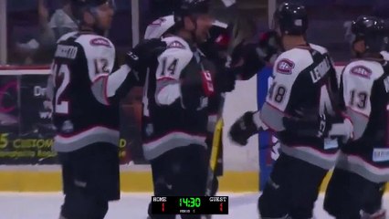 ECHL Worcester Railers 1 at Brampton Beast 4