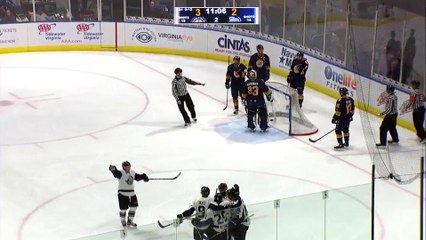 ECHL Jacksonville Icemen 3 at Norfolk Admirals 3