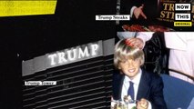 Who is Donald Trump Jr.? Narrated by Alyssa Milano