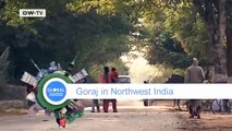 Global Living Room: India | Global 3000