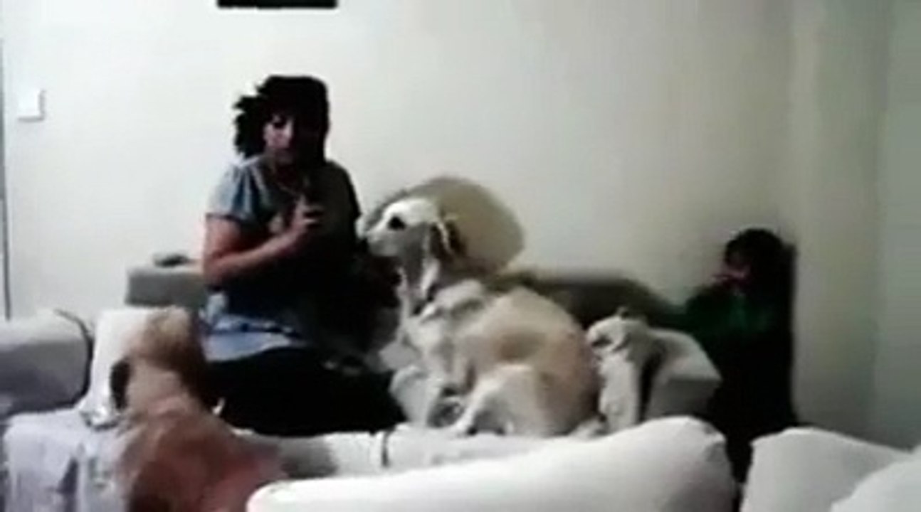 the girl dog