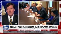 Fox News host warns liberals want to sexually assault people if they don't turn over their guns