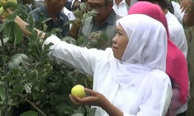 Tinjau Pedagang Kecil, Musa Harap Bisa Tarik Investor Asing