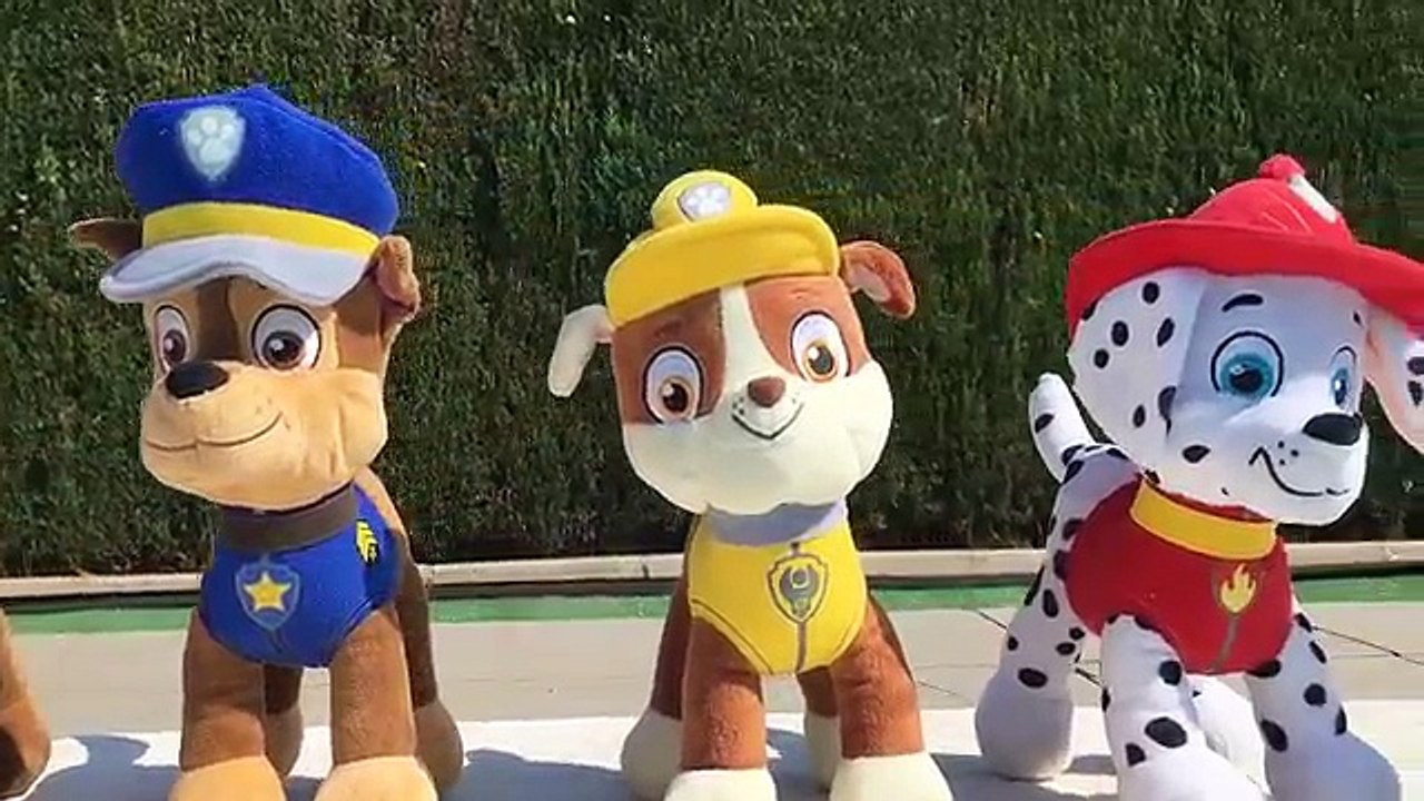 La patrulla canina salva a un gatito de Pocoyo en la piscina/Cap 13 de Paw Patrol en español