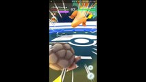 Pokémon GO Gym Battles Level 5 Gym Aerodyl Seadra Arcanine Charizard Flareon & more
