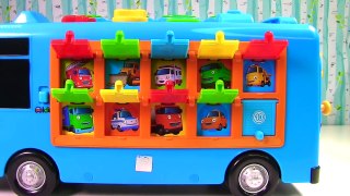 Colors: Little Bus Tayo Pop up Surprise Pals 똑똑한 꼬마버스 타요 장난감