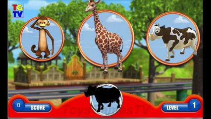 Chugginton - Mtambo s Safari Training