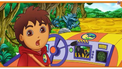 Dalej Diego - Na ratunek zwierzętom