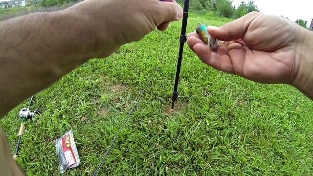 MYSTERY POND BASS FISHING (TIPS & TECHNIQUES) FLUKE & SENKO