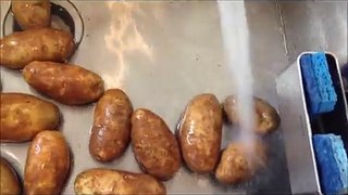 Dehydrating Potatoes for Preppers Food Storage Using Excalibur Dehydrator :)
