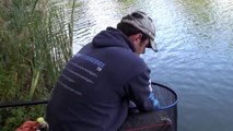 Method Feeder Fishing For Carp In Winter
