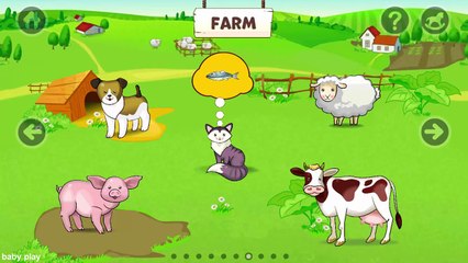 Compilation Animals Names and Sounds for kids - English Class