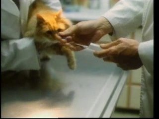 Teaser Nanar le Barbare #2