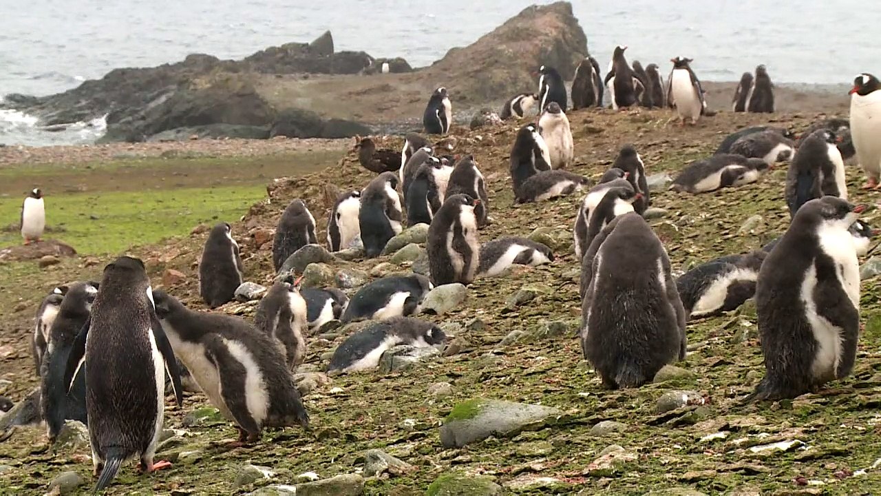 Antarktis - Forschungslabor des Klimawandels