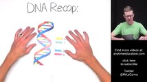 DNA, Chromosomes and Genes